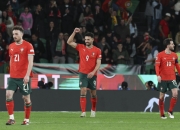 欧国联比赛汇聚精彩瞬间球迷热泪的简单介绍